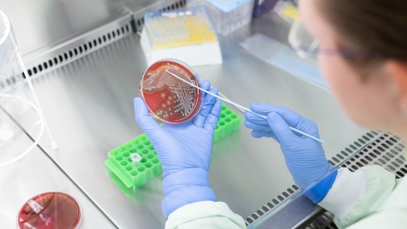 Wissenschaftlerin des InfectoGnostics Forschungscampus Jena bei Arbeiten im mikrobiologischen Labor.